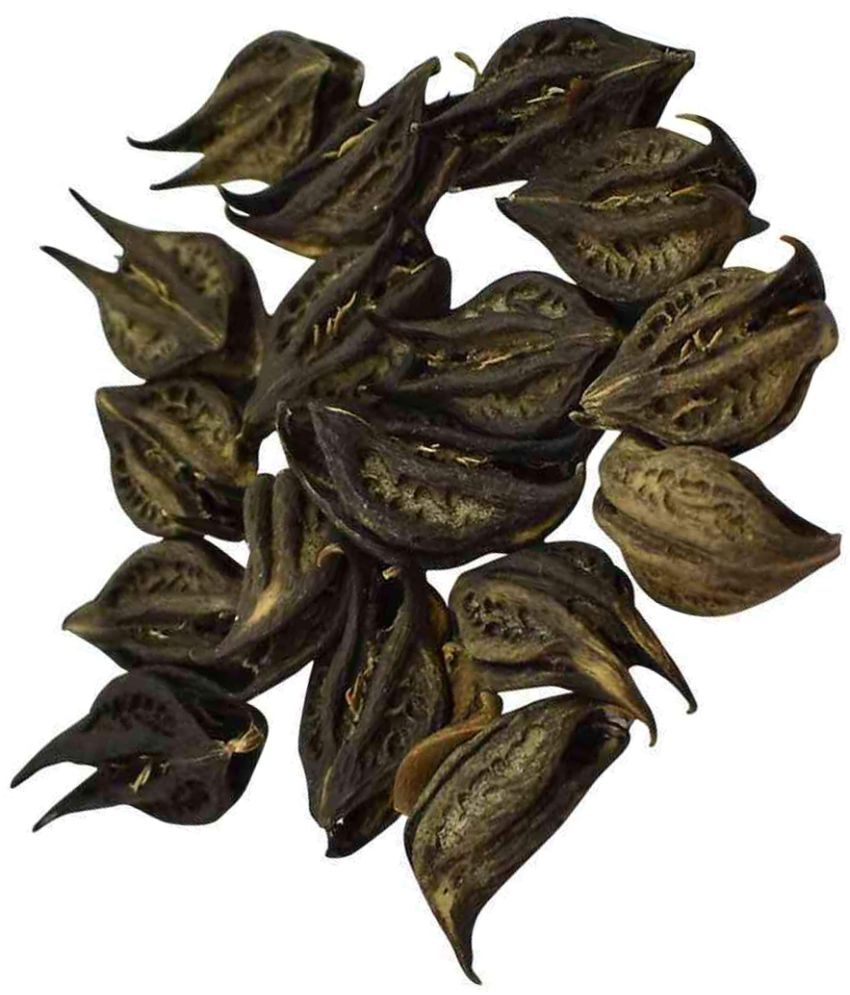 M.K.EXPORT Black Bat Head Roots Natural 11 pieces Bat Head Root Seeds