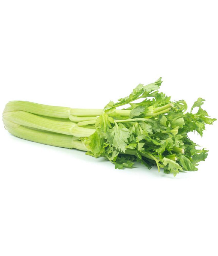     			Celery seeds Seleri ke beej pack of 100