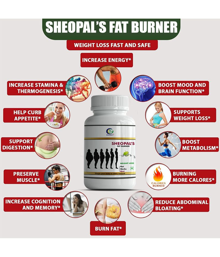 Sheopals Fat Burner Weight Loss Green Coffee 60 Capsules 500 mg Fat