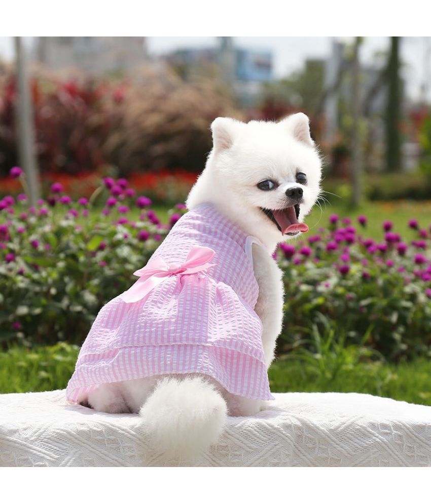 female small dog clothes