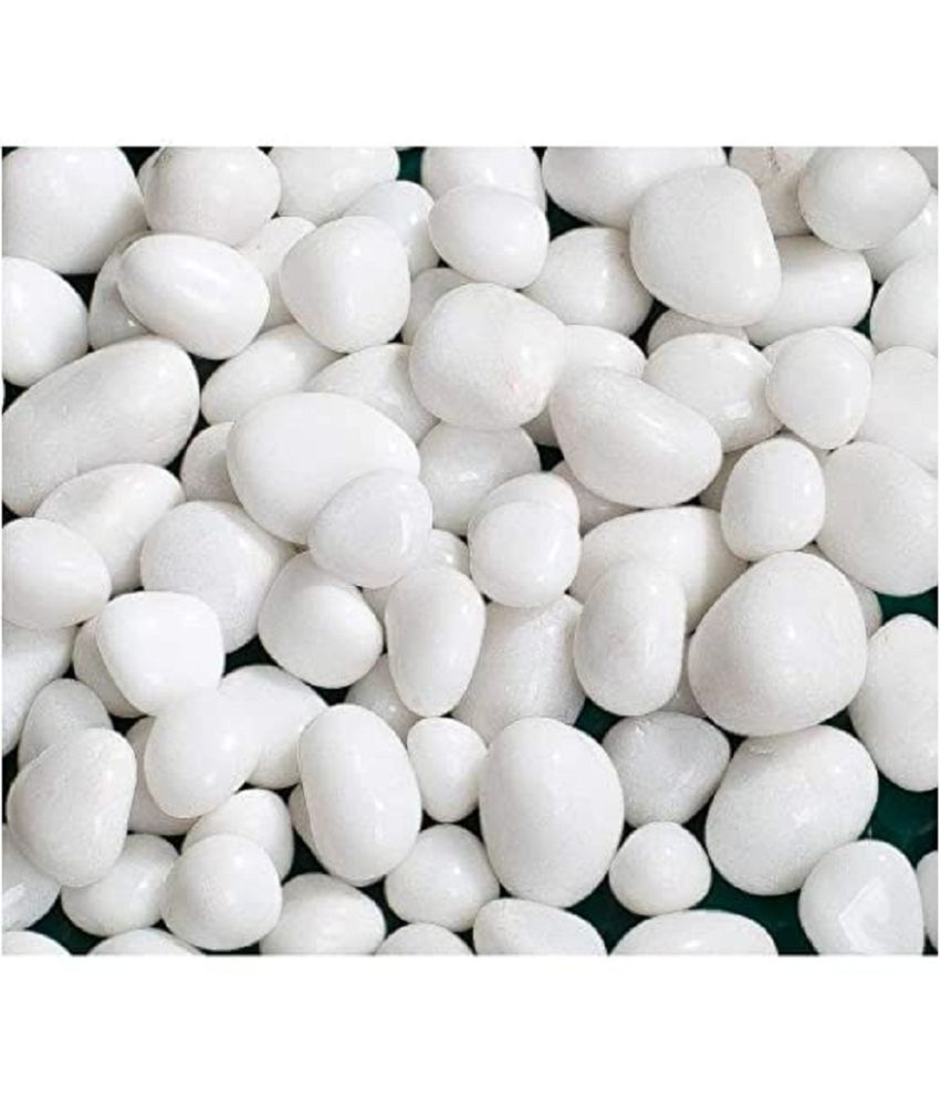     			VANNEF Stone Small White Decorative Pebbles for Garden & Home Decor (White, 1Kg)