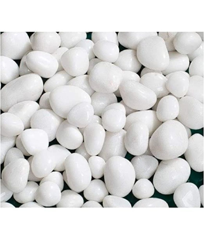     			VANNEF Stone Small White Decorative Pebbles for Garden & Home Decor (White, 500gm)