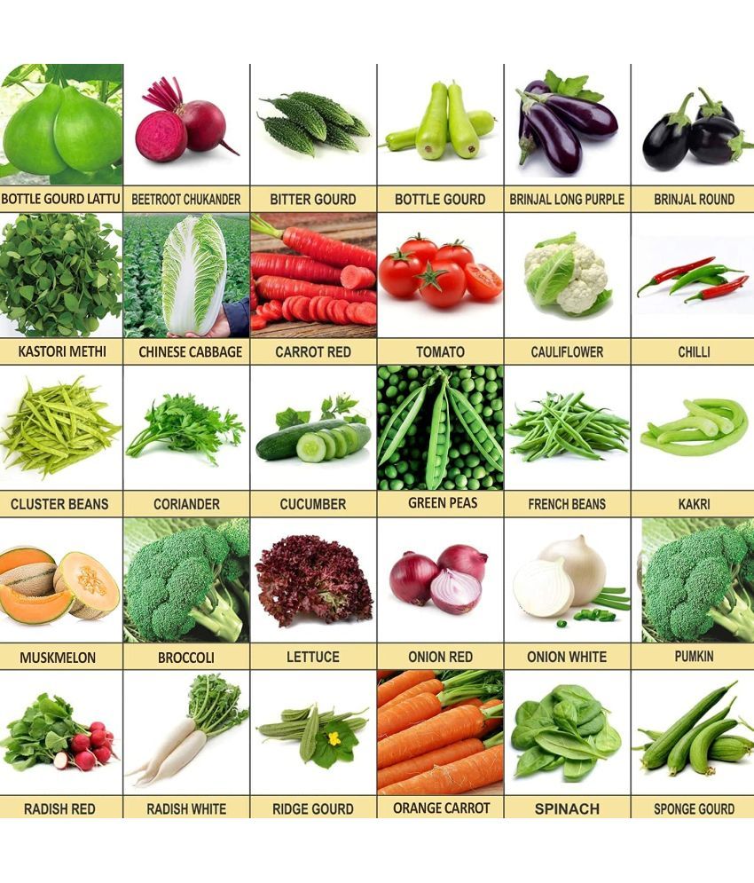 Kraft Seeds Vegetable Seeds 30 Varieties Of Seeds Tested And Packed For ...