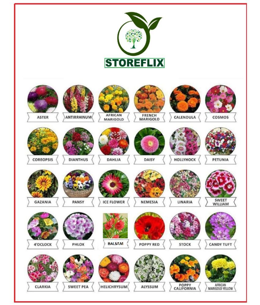     			MIX 30 TYPE FLOWERS HYBRID PREMIUM SEEDS COMBO PACK MORE THAN 1200 SEEDS WITH FREE COCOPEAT AND USER MANUAL FOR HOME GARDENING USE