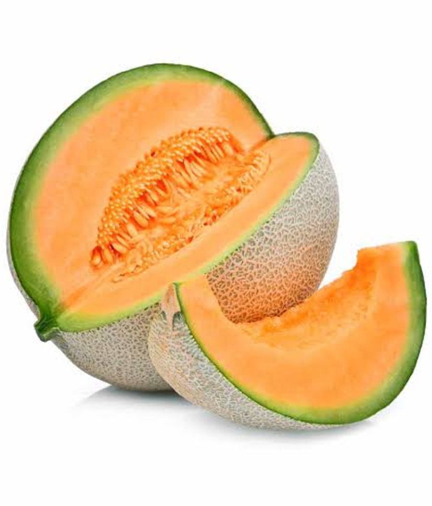     			Hybrid Seeds,Muskmelon Seeds Pack of 30