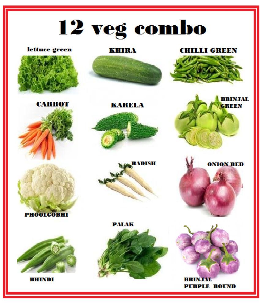     			COMBO OF 12 DIFFERENT TYPE VEGETABLE PLANT SEEDS PACK more tham 250+ seeds pack WITH USER MAmanualNAUL FOR HOME GARDENUNG USE