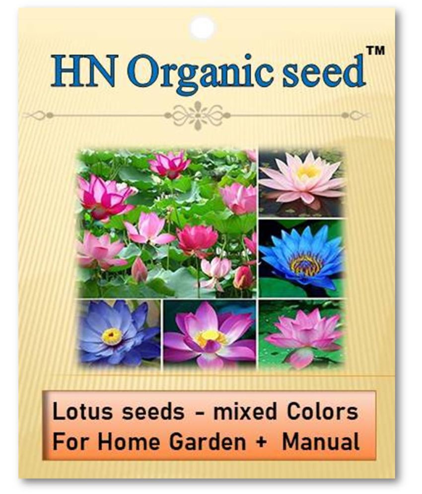     			homeagro - Fruit Seeds ( Lotus seeds -mixed colours 20 seeds )