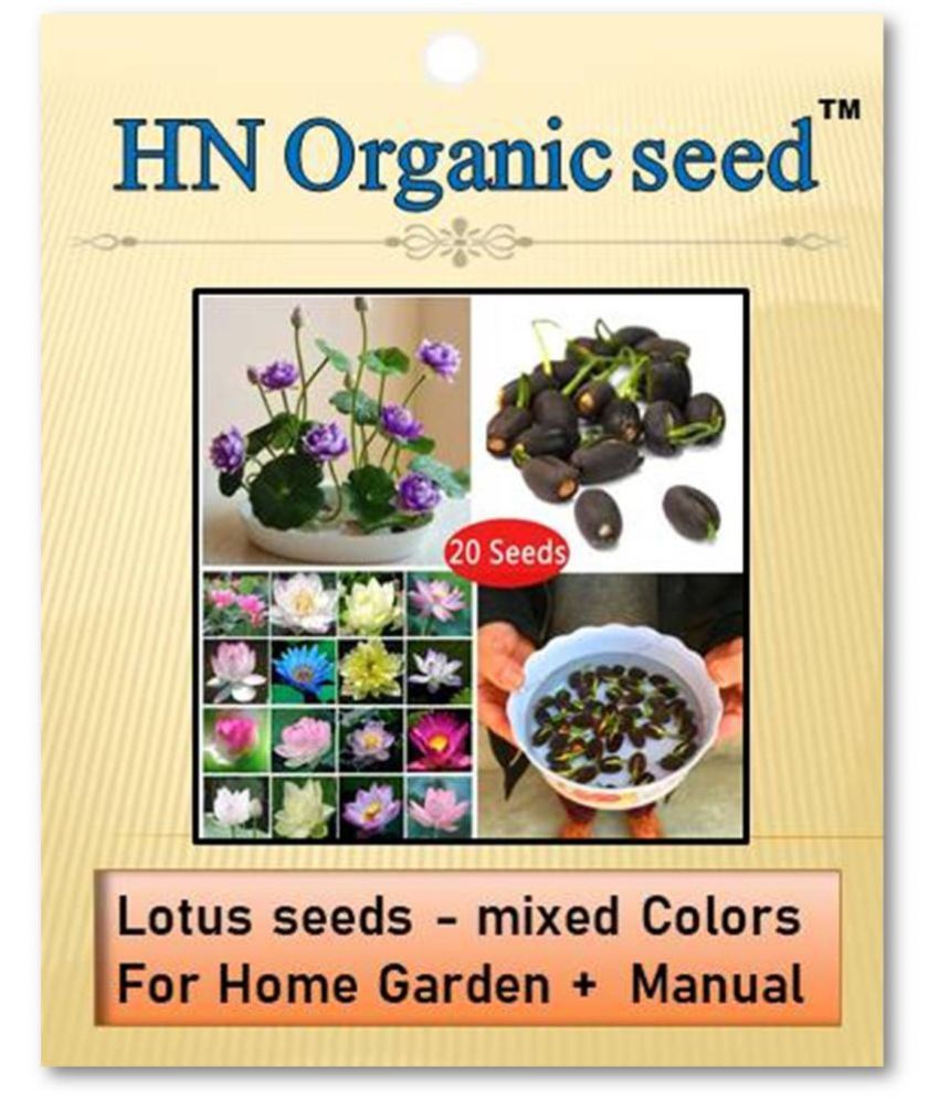     			homeagro - Flower Seeds ( Lotus seeds -mixed colours 20 seeds )