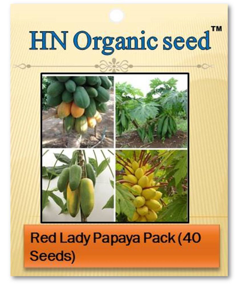     			homeagro - Fruit Seeds ( Papaya, Papita Honey Dew Fruit )