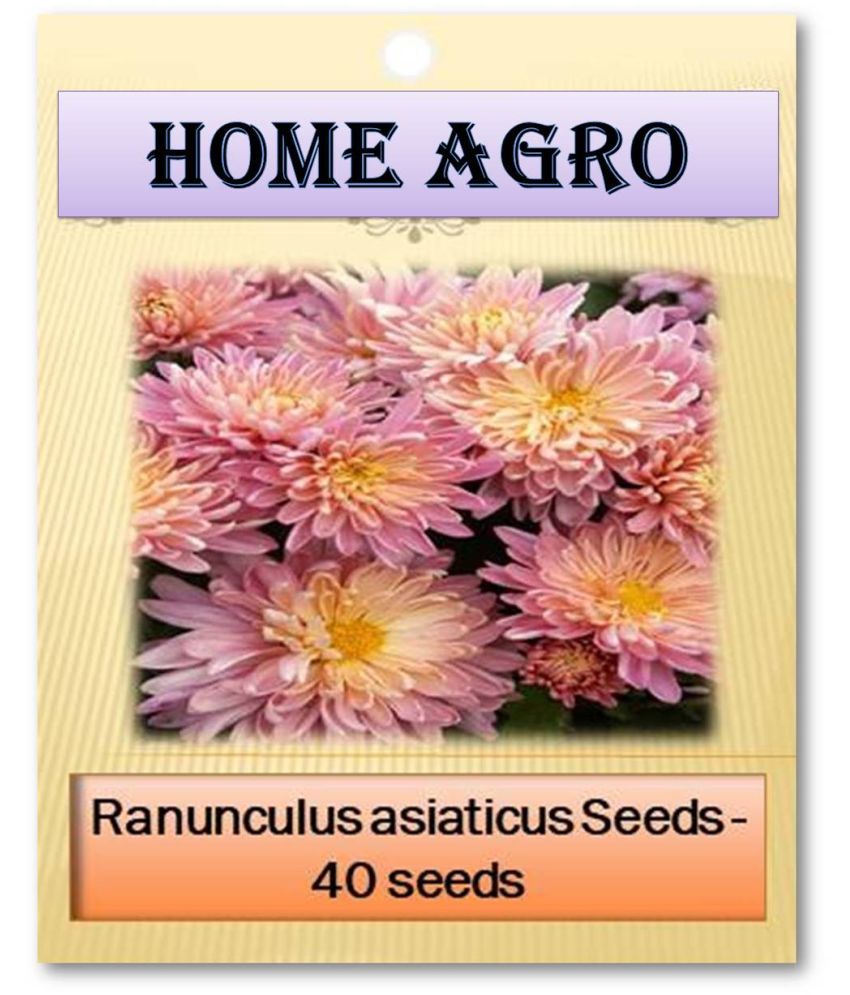     			HN organic seed - Flower Seeds ( 40 )