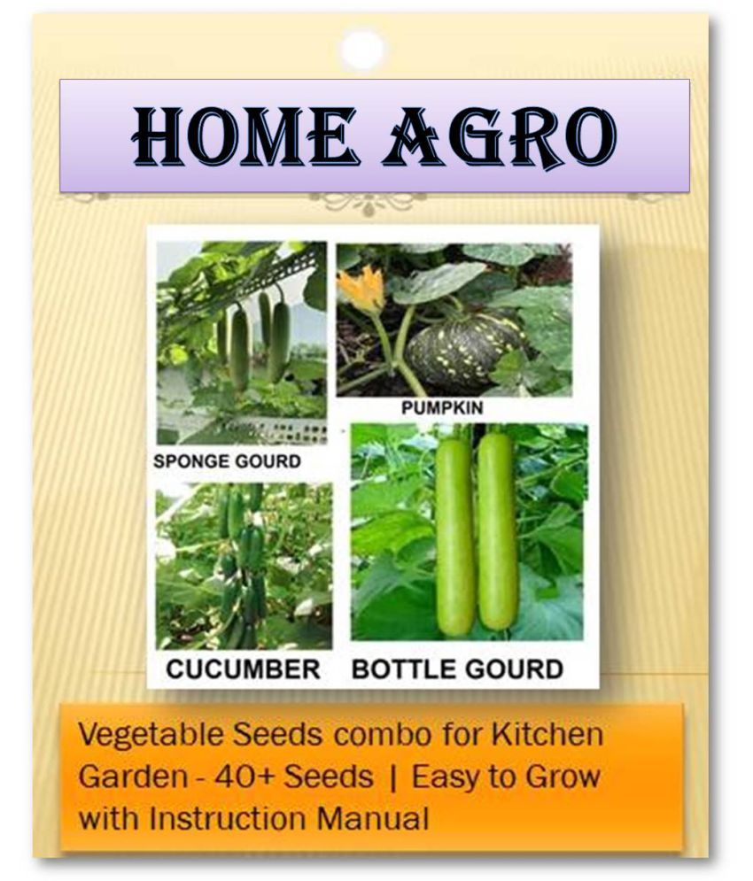     			HN organic seed - Vegetable Seeds ( 40 )