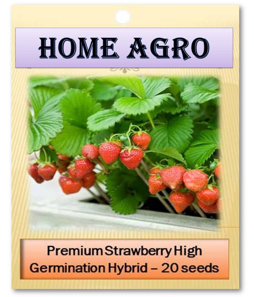     			homeagro - Fruit Seeds ( 20 )