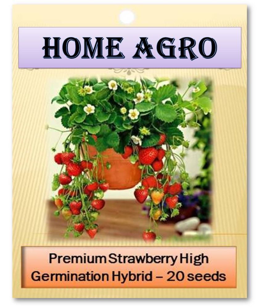     			homeagro - Fruit Seeds ( 20 )