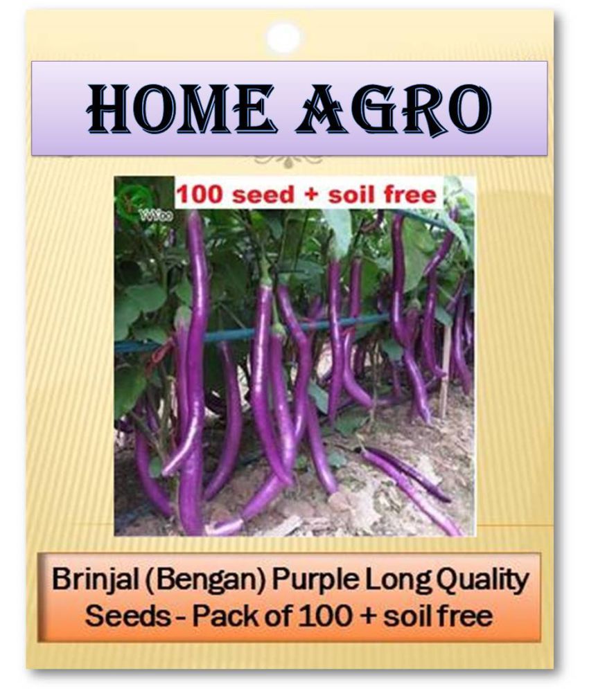 homeagro Vegetable Seeds ( 100 ) Buy homeagro Vegetable Seeds