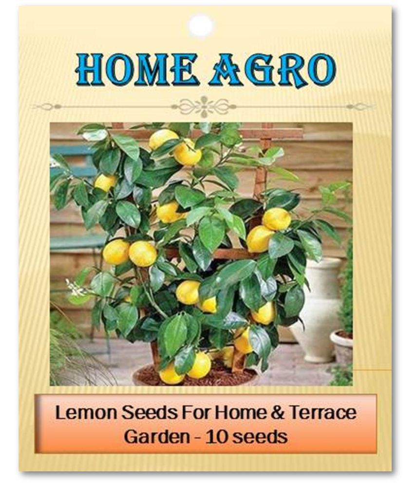     			homeagro - Vegetable Seeds ( 10 seed )