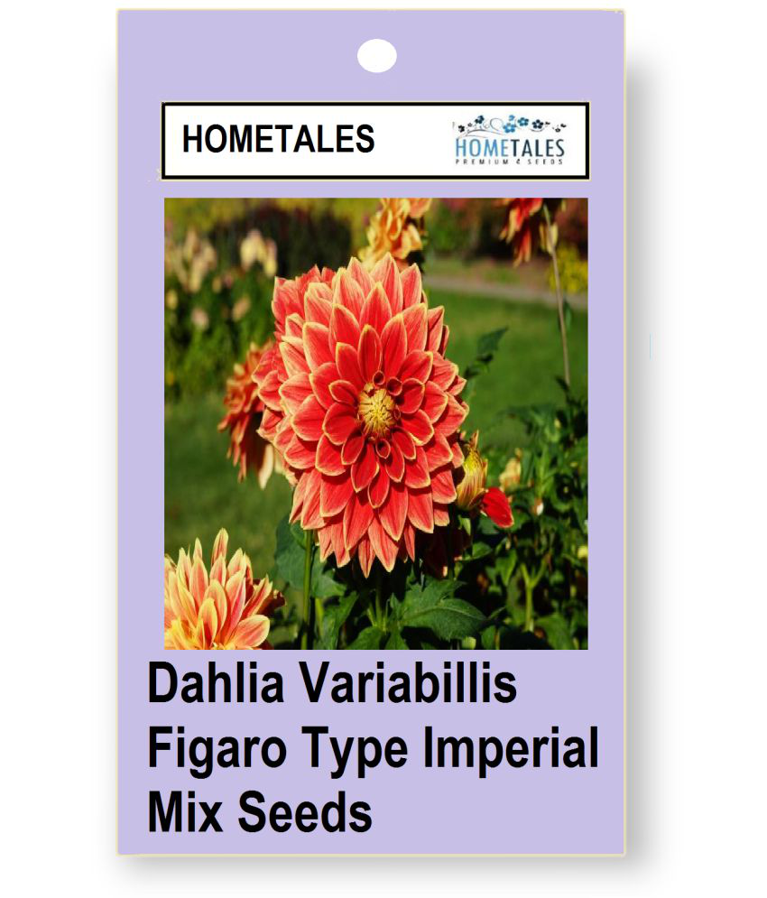 HOMETALES - Flower Seeds ( 50 )