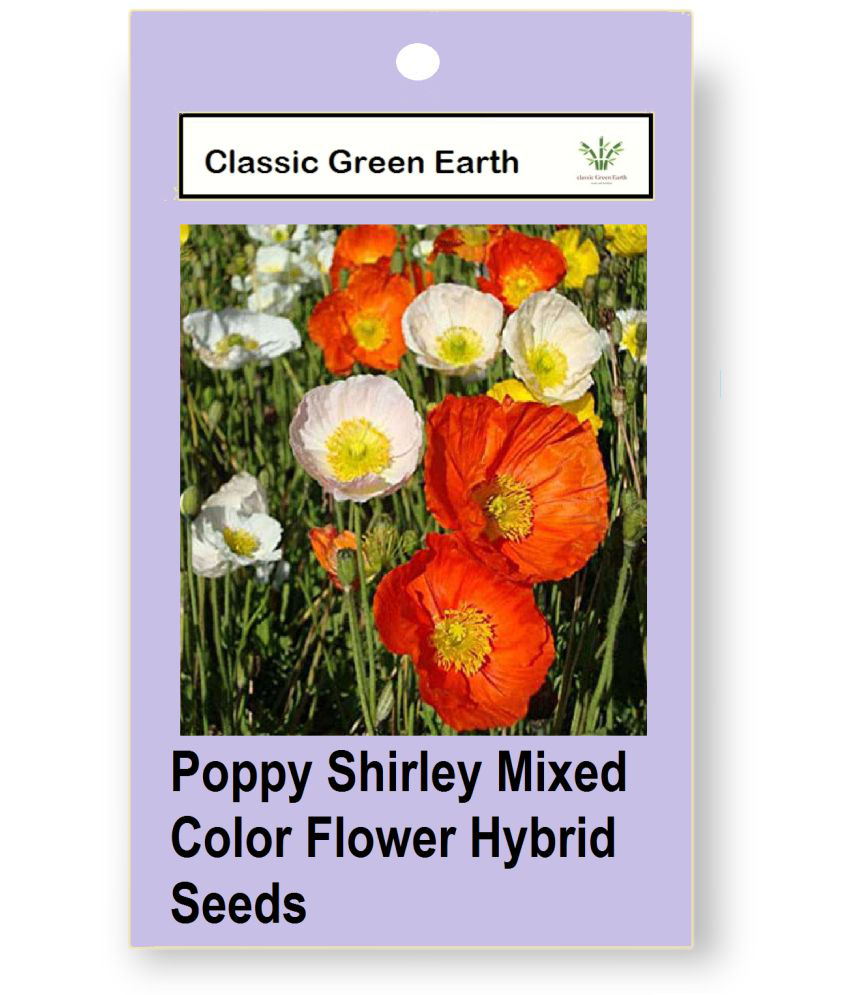     			CLASSIC GREEN EARTH - Flower Seeds ( Poppy Shirley Mixed Color Flower Hybrid 40 Seeds )