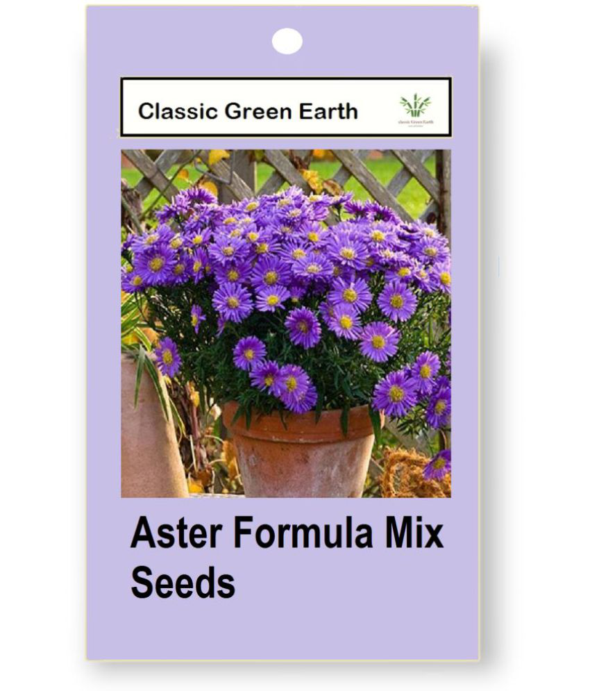     			CLASSIC GREEN EARTH - Flower Seeds ( Aster Formula Mix 50 Seeds )