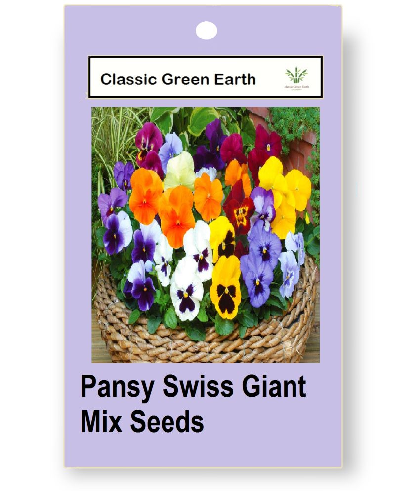     			CLASSIC GREEN EARTH - Pansy Flower ( 50 Seeds )