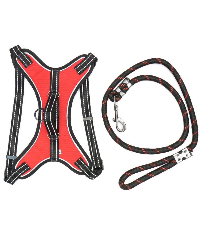     			Cocker - Red Harness ( Small )