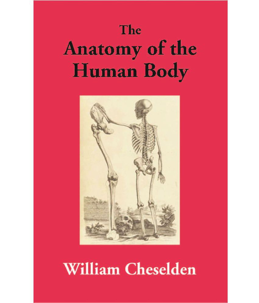     			The Anatomy of the Human Body