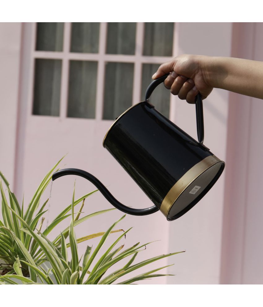 Truphe Watering Can