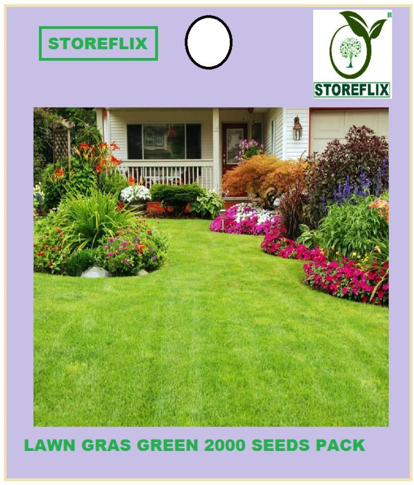     			STOREFLIX - Bermuda Green Grass ( 2000 Seeds )