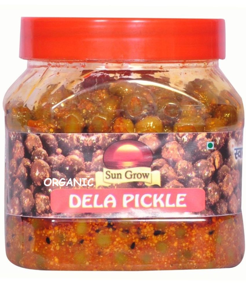     			Sun Grow Organic Mother Made Homemade Masalo Se Bana Chatpata Rajasthani Ker ka Achar Dela Pickle 500 g