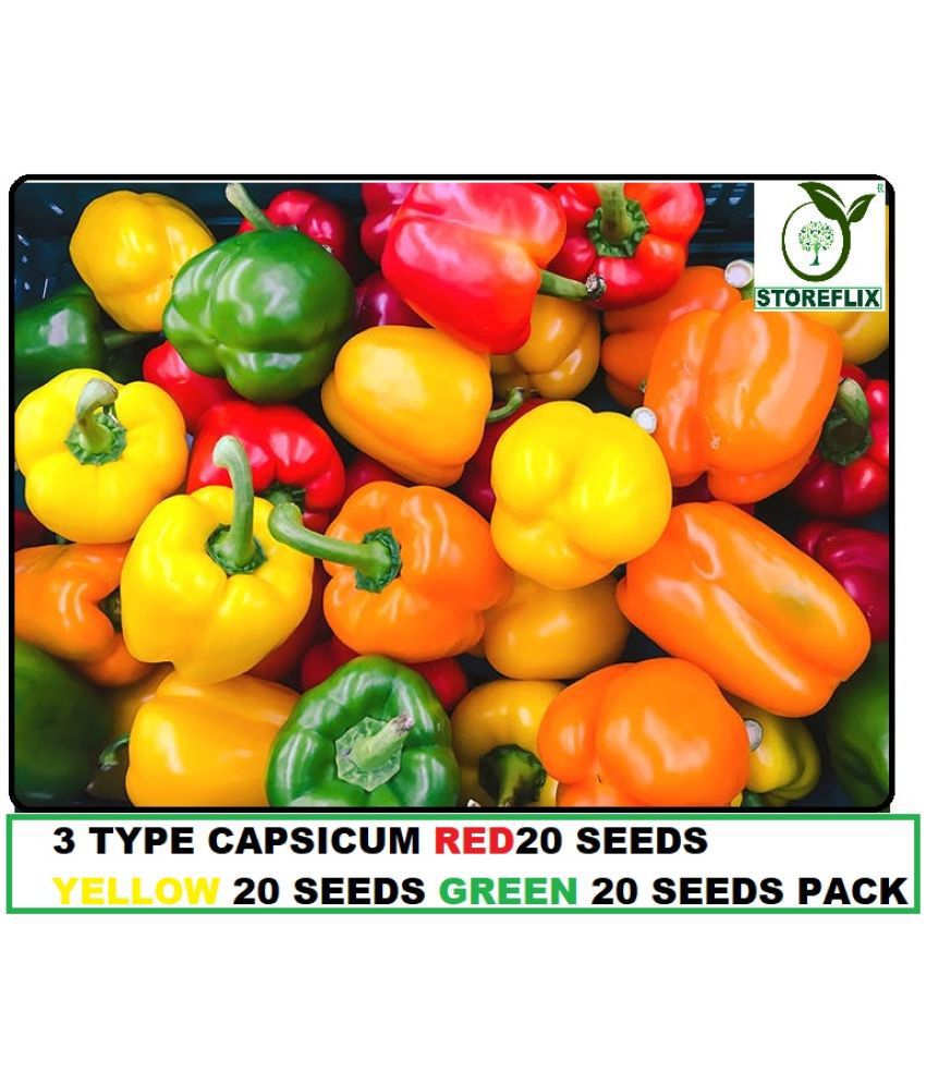     			3 DIFFERENT TYPE MIX VARIETY CAPSICUM SHIMLA MIRCH VEGETABLE PLANT SEEDS COMBO PACK RED YELLOW GREEN 20 -20 SEEDS OF EACH ONE (60 SEEDS PACK )WITH USER MANUAL FOR INDOOR OUTDOOR HOME KITCHEN GARDENING USE