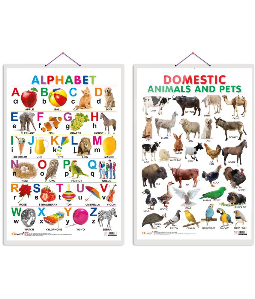     			Set of 2 (Alphabet and (Domestic Animals and Pets) Early Learning Educational Charts for Kids | 20"X30" inch |Non-Tearable and Waterproof | Double Sided Laminated | Perfect for Homeschooling, Kindergarten and Nursery Students