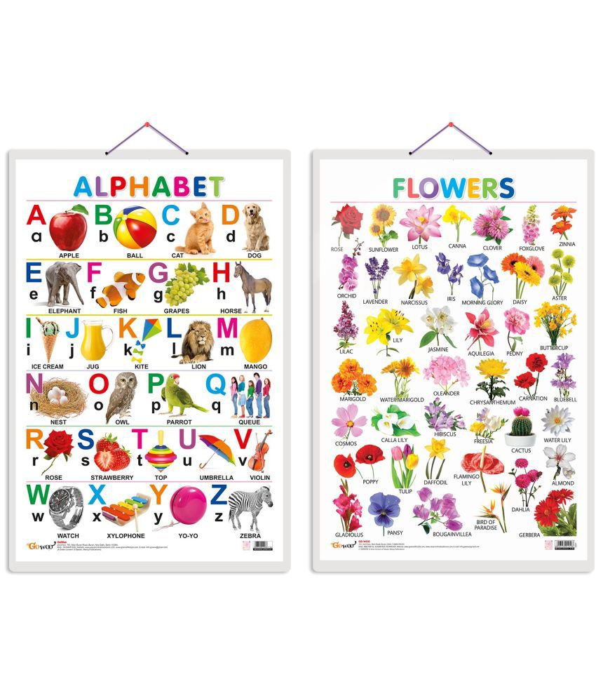     			Set of 2 Alphabet and Flowers Early Learning Educational Charts for Kids | 20"X30" inch |Non-Tearable and Waterproof | Double Sided Laminated | Perfect for Homeschooling, Kindergarten and Nursery Students