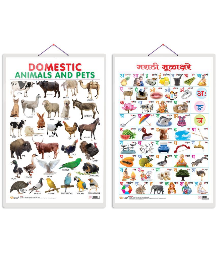     			Set of 2 Domestic Animals and Pets and Marathi Varnamala Early Learning Educational Charts for Kids | 20"X30" inch |Non-Tearable and Waterproof | Double Sided Laminated | Perfect for Homeschooling, Kindergarten and Nursery Students