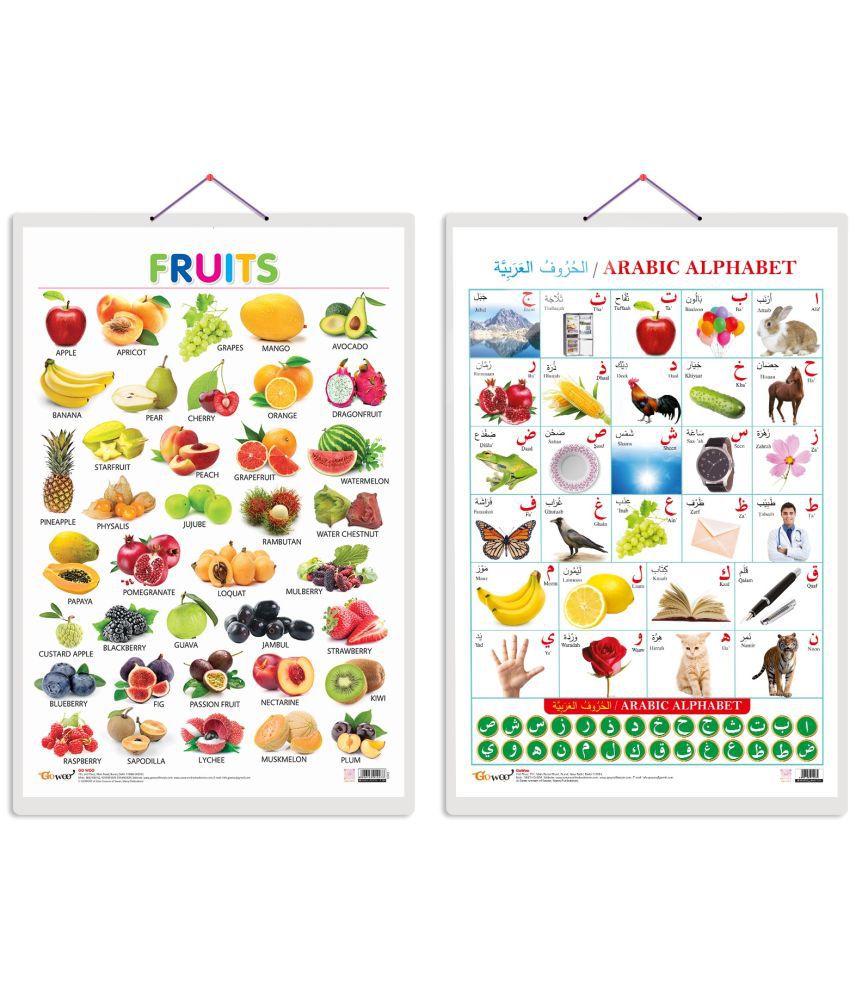     			Set of 2 Fruits and Arabic Alphabet (Arabic) Early Learning Educational Charts for Kids | 20"X30" inch |Non-Tearable and Waterproof | Double Sided Laminated | Perfect for Homeschooling, Kindergarten and Nursery Students