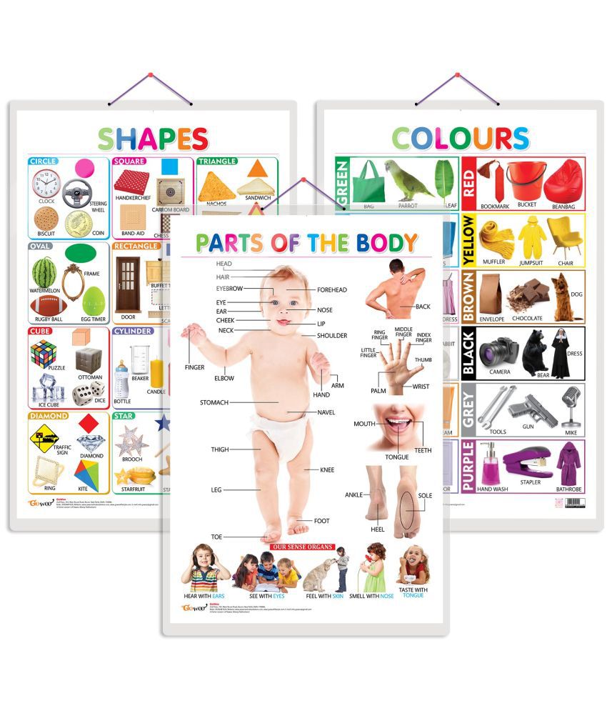     			Set of 3 Colours, Shapes and Parts of the Body Early Learning Educational Charts for Kids | 20"X30" inch |Non-Tearable and Waterproof | Double Sided Laminated | Perfect for Homeschooling, Kindergarten and Nursery Students