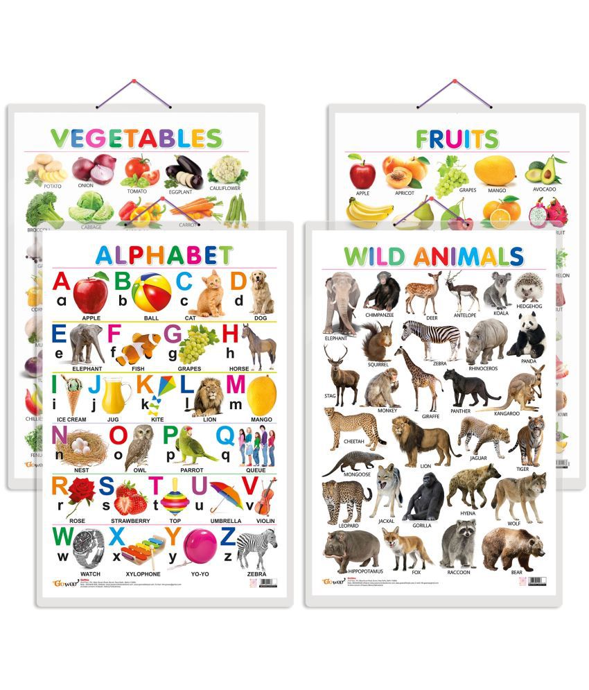     			Set of 4 Alphabet, Fruits, Vegetable and Wild Animals Early Learning Educational Charts for Kids | 20"X30" inch |Non-Tearable and Waterproof | Double Sided Laminated | Perfect for Homeschooling, Kindergarten and Nursery Students