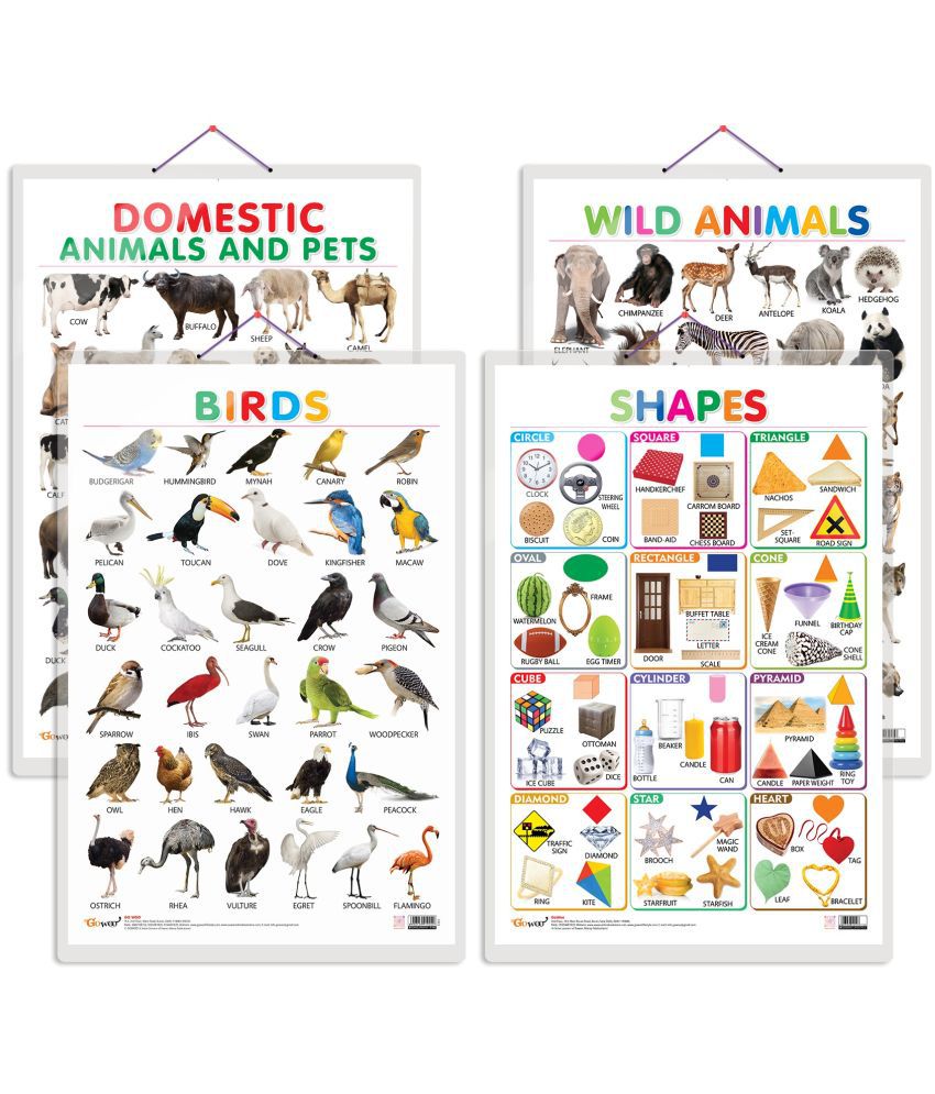     			Set of 4 Domestic Animals and Pets, Wild Animals, Birds and Shapes Early Learning Educational Charts for Kids | 20"X30" inch |Non-Tearable and Waterproof | Double Sided Laminated | Perfect for Homeschooling, Kindergarten and Nursery Students