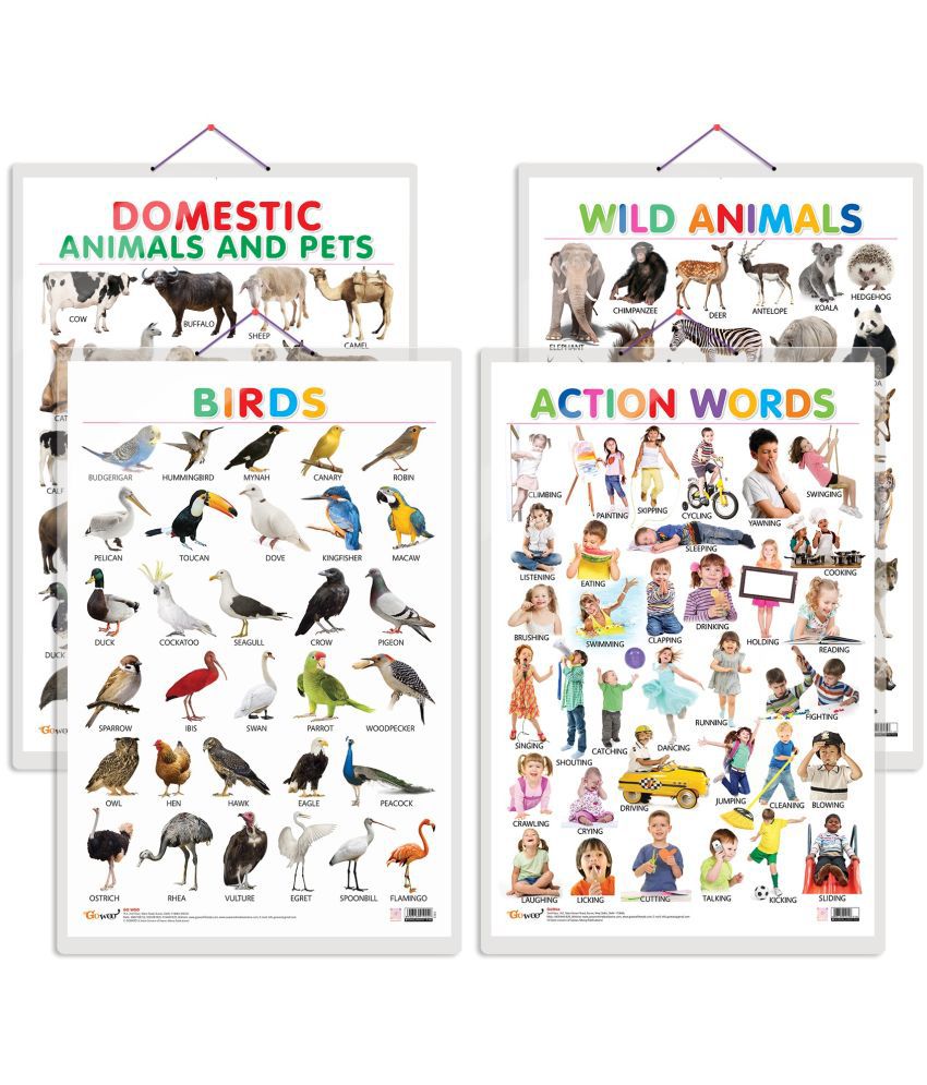    			Set of 4 Domestic Animals and Pets, Wild Animals, Birds and Action Words Early Learning Educational Charts for Kids | 20"X30" inch |Non-Tearable and Waterproof | Double Sided Laminated | Perfect for Homeschooling, Kindergarten and Nursery Students