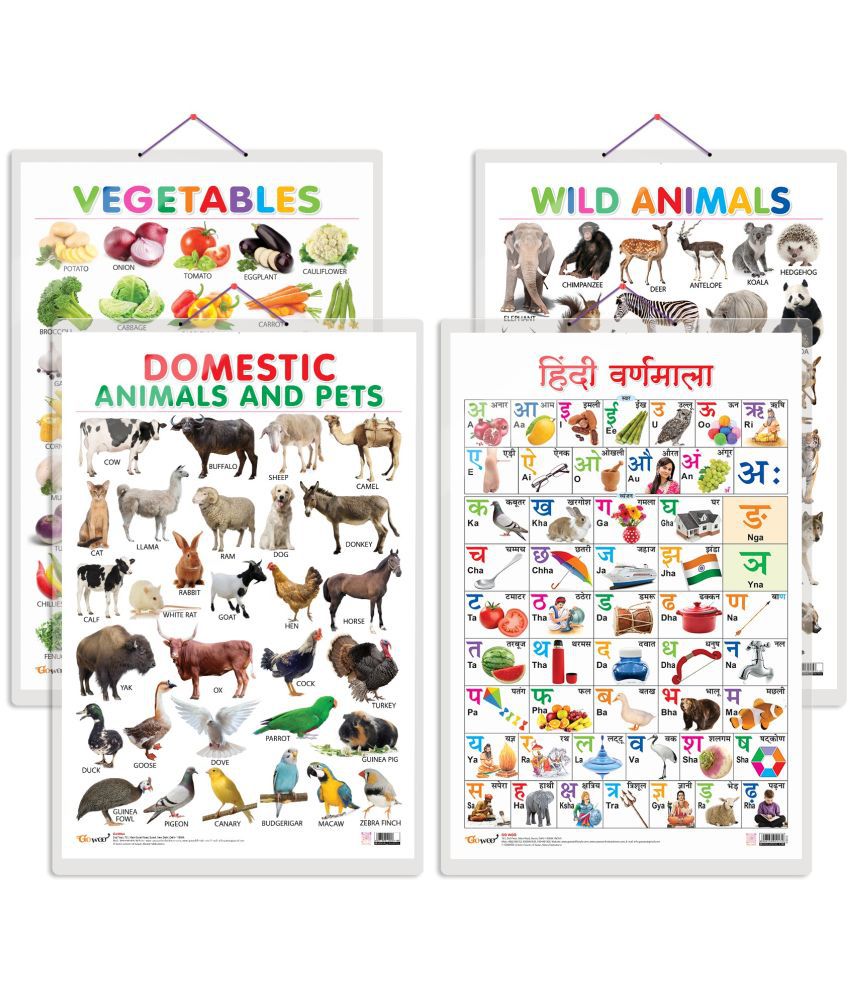     			Set of 4 Vegetables, Domestic Animals and Pets, Wild Animals and Hindi Varnamala Early Learning Educational Charts for Kids | 20"X30" inch |Non-Tearable and Waterproof | Double Sided Laminated | Perfect for Homeschooling, Kindergarten and Nursery Students