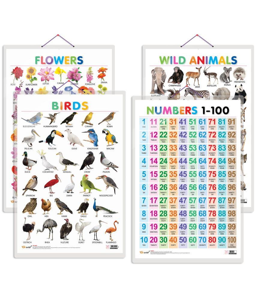     			Set of 4 Wild Animals, Birds, Flowers and Numbers 1-100 Early Learning Educational Charts for Kids | 20"X30" inch |Non-Tearable and Waterproof | Double Sided Laminated | Perfect for Homeschooling, Kindergarten and Nursery Students