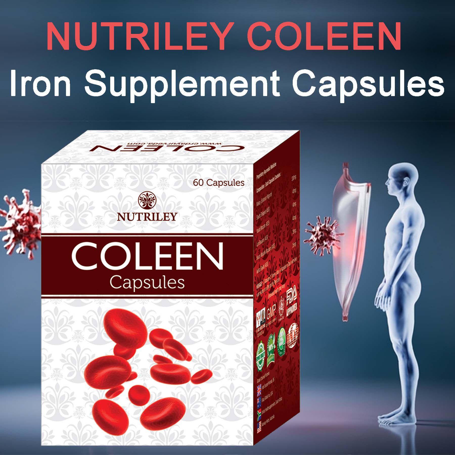     			Nutriley Iron Supplement, Immunity General Ayush Capsule 60 gm Pack Of 1