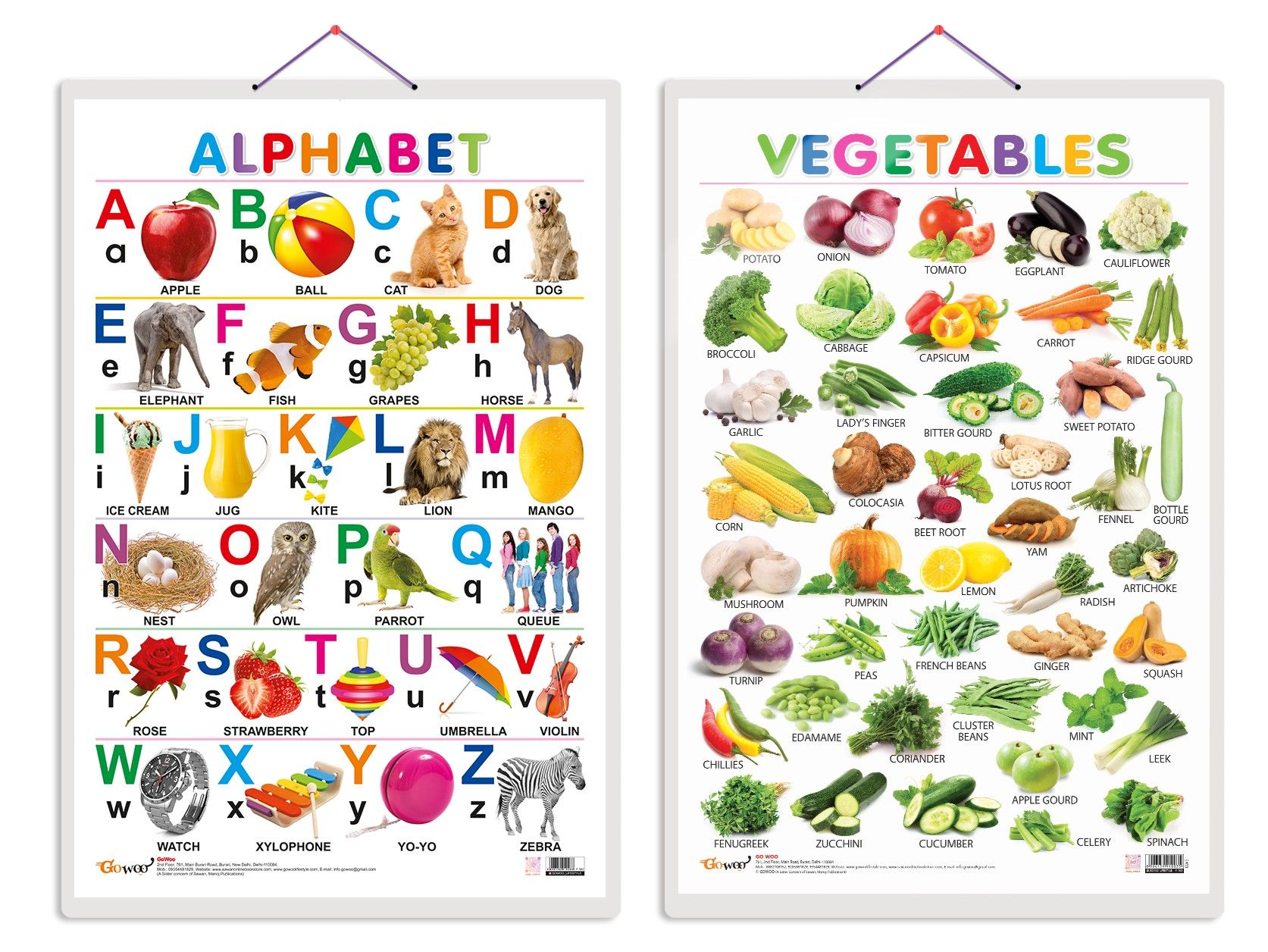     			Set of 2 Alphabet and Vegetables Early Learning Educational Charts for Kids | 20"X30" inch |Non-Tearable and Waterproof | Double Sided Laminated | Perfect for Homeschooling, Kindergarten and Nursery Students