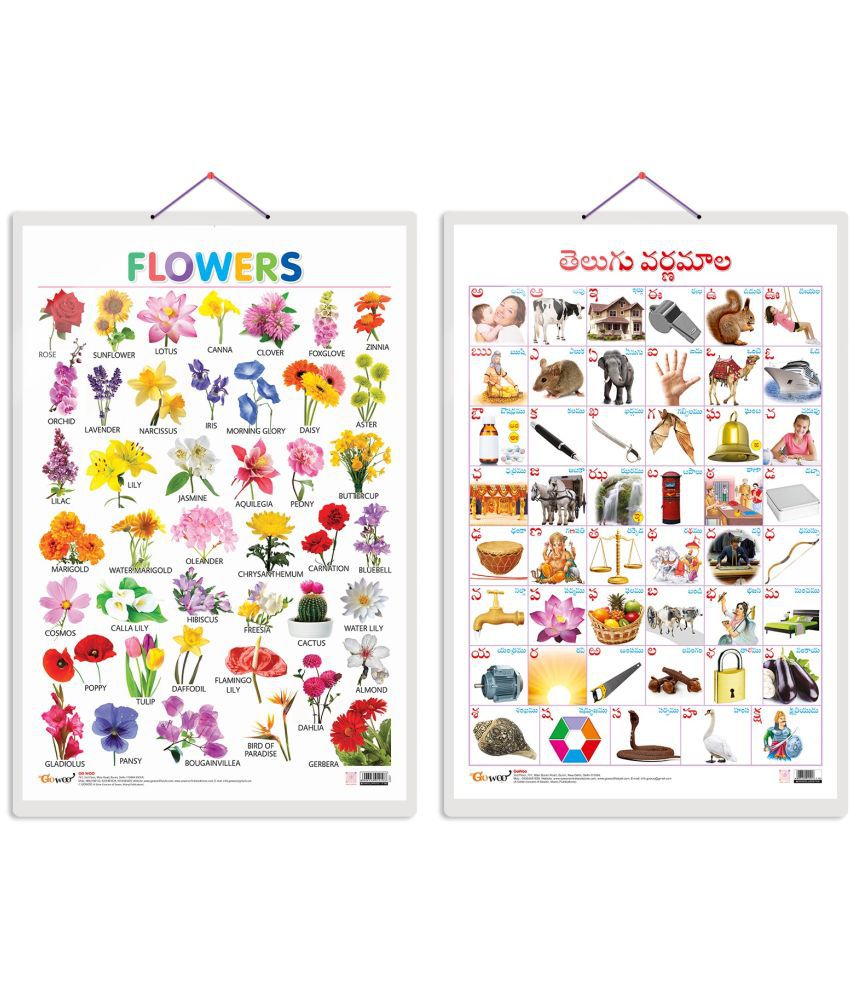     			Set of 2 Flowers and Telugu Alphabet (Telugu) Early Learning Educational Charts for Kids | 20"X30" inch |Non-Tearable and Waterproof | Double Sided Laminated | Perfect for Homeschooling, Kindergarten and Nursery Students