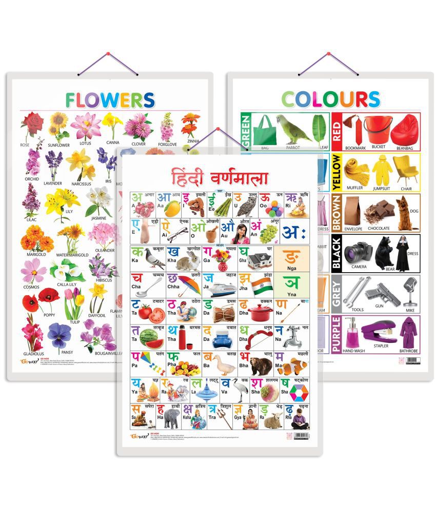     			Set of 3 Flowers, Colours and Hindi Varnamala Early Learning Educational Charts for Kids | 20"X30" inch |Non-Tearable and Waterproof | Double Sided Laminated | Perfect for Homeschooling, Kindergarten and Nursery Students