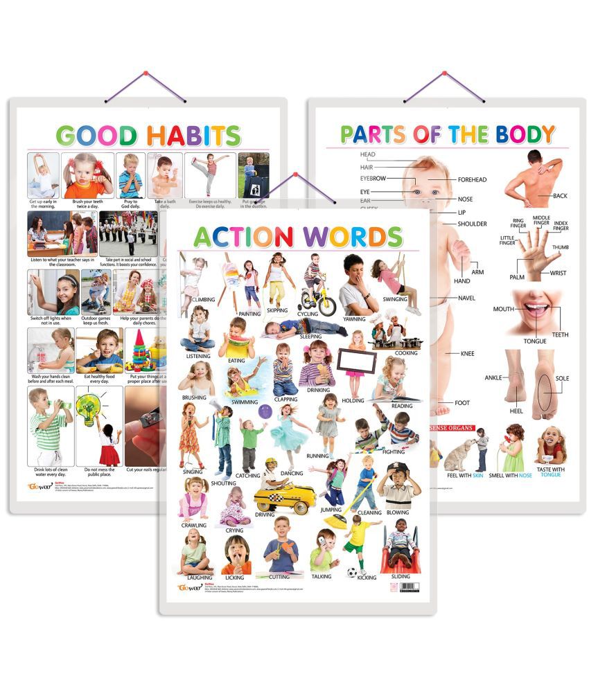     			Set of 3 Parts of the Body, Good Habits and Action Words Chart for Kids | 20"X30" inch |Non-Tearable and Waterproof | Double Sided Laminated | Perfect for Homeschooling, Kindergarten and Nursery Students