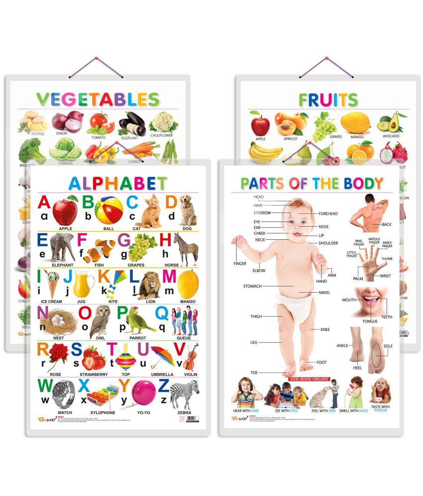     			Set of 4 Alphabet, Fruits, Vegetables and Parts of the Body Early Learning Educational Charts for Kids | 20"X30" inch |Non-Tearable and Waterproof | Double Sided Laminated | Perfect for Homeschooling, Kindergarten and Nursery Students