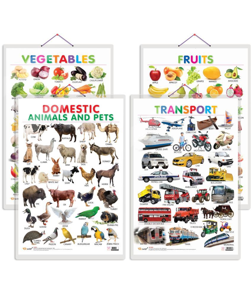     			Set of 4 Fruits, Vegetables, Domestic Animals and Pets and Transport Early Learning Educational Charts for Kids | 20"X30" inch |Non-Tearable and Waterproof | Double Sided Laminated | Perfect for Homeschooling, Kindergarten and Nursery Students