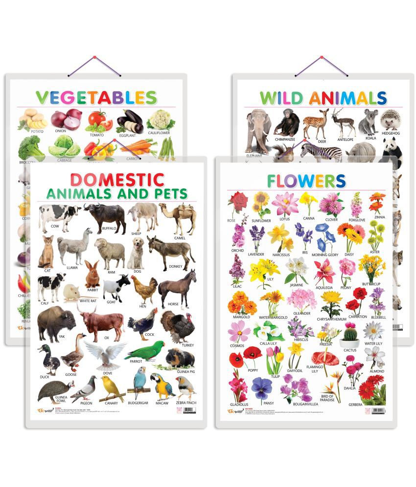     			Set of 4 Vegetables, Domestic Animals and Pets, Wild Animals and Flowers Early Learning Educational Charts for Kids | 20"X30" inch |Non-Tearable and Waterproof | Double Sided Laminated | Perfect for Homeschooling, Kindergarten and Nursery Students