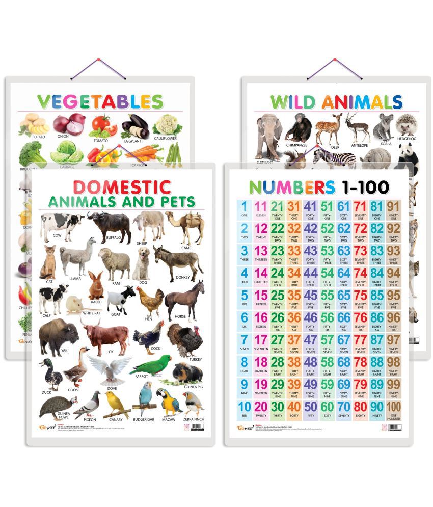     			Set of 4 Vegetables, Domestic Animals and Pets, Wild Animals and Numbers 1-100 Early Learning Educational Charts for Kids | 20"X30" inch |Non-Tearable and Waterproof | Double Sided Laminated | Perfect for Homeschooling, Kindergarten and Nursery Students