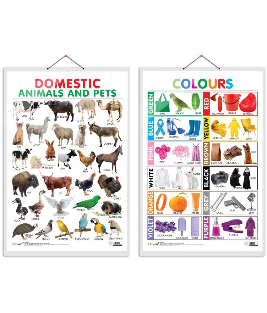     			Set of 2 Domestic Animals and Pets and Colours Early Learning Educational Charts for Kids | 20"X30" inch |Non-Tearable and Waterproof | Double Sided Laminated | Perfect for Homeschooling, Kindergarten and Nursery Students