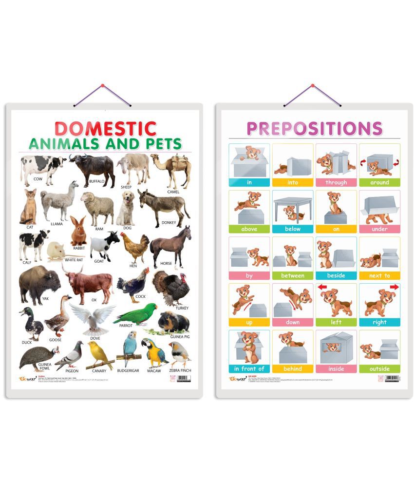    			Set of 2 Domestic Animals and Pets and PREPOSITIONS Early Learning Educational Charts for Kids | 20"X30" inch |Non-Tearable and Waterproof | Double Sided Laminated | Perfect for Homeschooling, Kindergarten and Nursery Students
